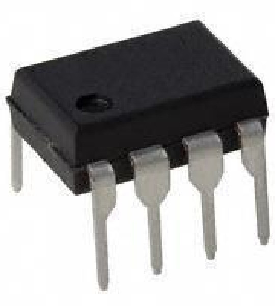 DS1621 IC